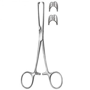 Allis Tissue Forceps